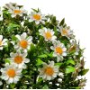 Clayre & Eef 6PL0324M Decoratieve bol kunstbloem madeliefje Ø 22 cm