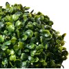 Clayre & Eef 6PL0325S Buxus Bol Plastic Groen Ø 17 cm