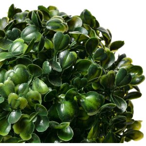 Clayre & Eef 6PL0325XS Decoratieve bol buxus Ø 12 cm Groen