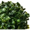 Clayre & Eef 6PL0325XS Decoratieve bol buxus Ø 12 cm Groen
