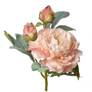 Clayre & Eef 6PL0332P Kunstbloem Roos Roze 12x12x62 cm