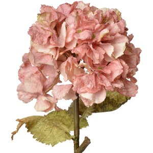 Clayre & Eef 6PL0333P Decoratieve Tak met Bloemen...