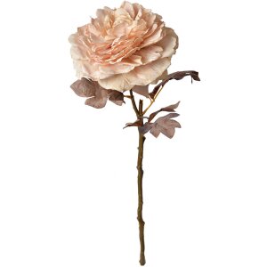 Clayre & Eef 6PL0334 Kunstbloem Roos Roze 10x10x60 cm