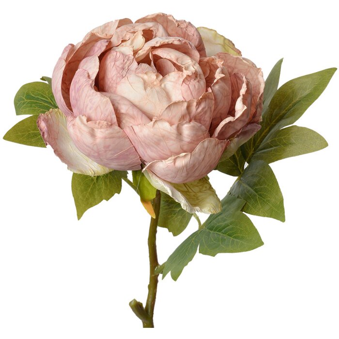 Clayre & Eef 6PL0335 Kunstbloem Roos Roze 10x10x48 cm