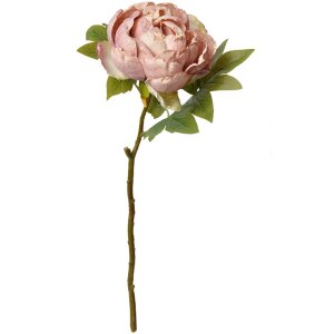Clayre & Eef 6PL0335 Kunstbloem Roos Roze 10x10x48 cm