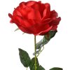 Clayre & Eef 5PL0138R Kunstbloem Roos Rood Groen 19x19x75 cm