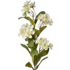 Clayre & Eef 6PL0344W Siertak Bloemen Wit Groen 17x14x70 cm