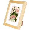 Goldbuch fotolijst Rustiq naturel 13x18 cm met passe-partout 9x13 cm