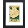 Goldbuch fotolijst Rustiq zwart 15x20 cm met passe-partout 10x15 cm