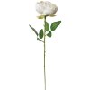 Clayre & Eef 6PL0366W Kunstbloem Roos Wit 8x8x62 cm