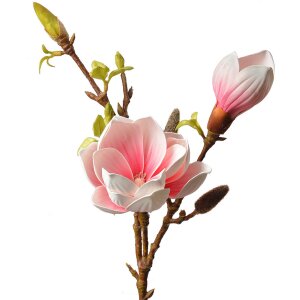 Clayre & Eef 5PL0128P Kunstbloem 17x11x70 cm