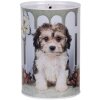 Clayre & Eef 6BL0163 Spaarpot Hond Ø 10x15 cm Witbruin