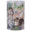 Clayre & Eef 6BL0169 Spaarpot landelijke stijl kat motief Ø 8x13 cm