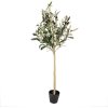Clayre & Eef 5PL0149 Decoratieve boom groen 20x20x90 cm kunststof
