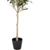Clayre & Eef 5PL0150 Decoratieve Boom Groen 15x15x70 cm