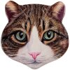 Clayre & Eef 6CE2065 Pannenmat Kat Keramisch Bruin 20x20 cm Landhuis