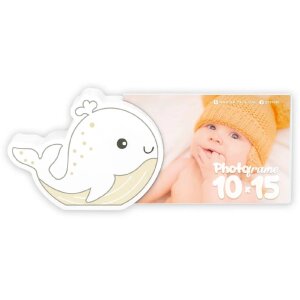 ZEP Acryl en houten fotolijst Fibi 10x15 cm