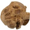 Mauro Ferretti decoratieve teakhouten bol Ø40 cm bruin