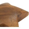 Mauro Ferretti decoratieve ster teak Ø19x5 cm bruin