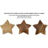 Mauro Ferretti decoratieve ster teak Ø19x5 cm bruin