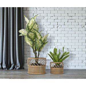 Mauro Ferretti bloemenstandaard Panama set van 2 Ø 30x25-22x18 cm bruin