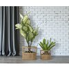 Mauro Ferretti bloemenstandaard Panama set van 2 Ø 30x25-22x18 cm bruin