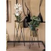 Mauro Ferretti Drak bloemenstandaard set van 2 21x20x46 en 18x18x32 cm zwartgoud