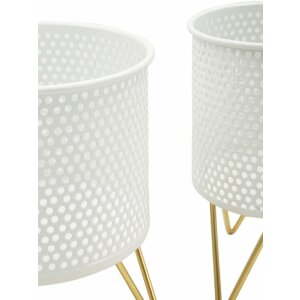 Mauro Ferretti Gaspy bloemenstandaard set van 2 Ø 16x20 en 13x20 cm witgoud