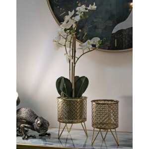 Mauro Ferretti Ceci bloemenstandaard set van 2 Ø 16x20 en 13x20 cm goud