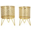 Mauro Ferretti Ceci bloemenstandaard set van 2 Ø 16x20 en 13x20 cm goud