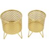 Mauro Ferretti Ceci bloemenstandaard set van 2 Ø 16x20 en 13x20 cm goud