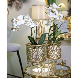 Mauro Ferretti Piny bloemenstandaard set van 2 Ø 16x20 en 13x20 cm goud
