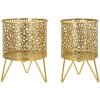 Mauro Ferretti Piny bloemenstandaard set van 2 Ø 16x20 en 13x20 cm goud
