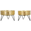 Mauro Ferretti Zanny bloemenstandaard set van 2 Ø 20,5x13 en 18x13 cm zwartgoud