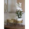 Mauro Ferretti Zanny bloemenstandaard set van 2 Ø 20,5x13 en 18x13 cm zwartgoud