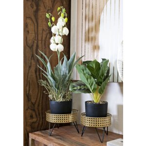 Mauro Ferretti Bossy bloemenstandaard set van 2 Ø 20,5x13 en 18x13 cm zwartgoud