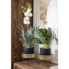 Mauro Ferretti Bossy bloemenstandaard set van 2 Ø 20,5x13 en 18x13 cm zwartgoud