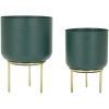 Mauro Ferretti bloemenstandaard Grent Set 2-delig Ø 20x29-16x24 cm groen goud