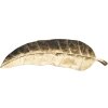 Mauro Ferretti decoratieve kom blad lang 38x3x11 cm goud
