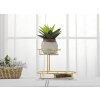 Mauro Ferretti decoratieve kom 2 niveaus 36x22,5x27 cm goud