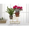 Mauro Ferretti decoratieve kom 3 niveaus 36x22,5x27 cm goud