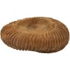 Mauro Ferretti decoratieve kom Garit Ø32x11 cm bruin