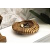 Mauro Ferretti decoratieve kom Geris Ø 29x7 cm bruin