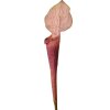 Clayre & Eef 5PL0188 Kunstbloem paars 6x5x75 cm