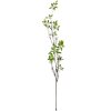 Clayre & Eef 5PL0181GR Siertak Bruin Groen 18x5x116 cm Kunststof