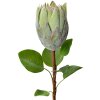 Clayre & Eef Kunstbloem 6PL0389GR Groen 65 cm Protea Plastic