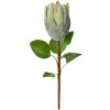 Clayre & Eef Kunstbloem 6PL0389GR Groen 65 cm Protea Plastic