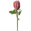 Clayre & Eef 6PL0389P Kunstbloem Roze Protea 65cm