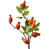 Clayre & Eef Decoratietak Rozenbottel Oranje-Groen 10x8x50 cm