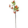 Clayre & Eef Decoratietak Rozenbottel Oranje-Groen 10x8x50 cm